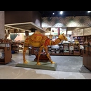 Im Berlin haben sie Bären, in Australien Kängurus und in Muscat Kamele